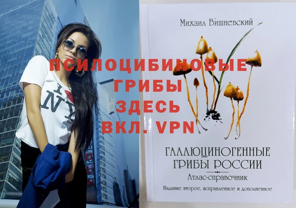 круглые Саяногорск