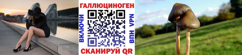 Галлюциногенные грибы Psilocybine cubensis  Купить  Симферополь 